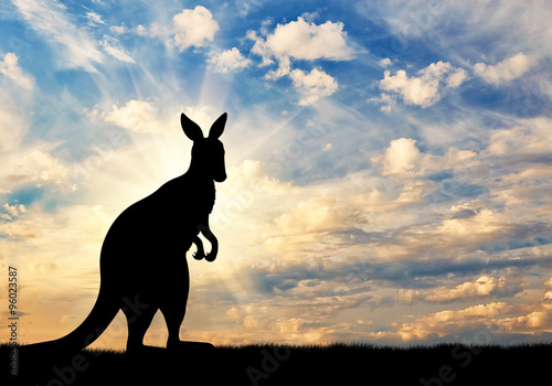 Kangaroo silhouette against a  sky