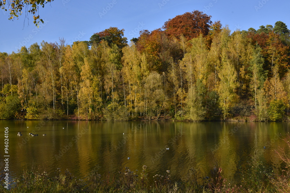 Fototapeta premium L'étang sauvage de la Ferme entouré d'arbres à feuillage dorée au parc Solvay de la Hulpe