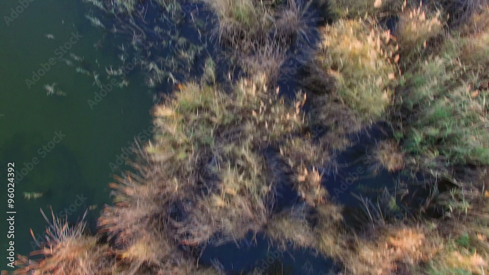 Flying Over The Lake With Reeds at Sunset in Autumn 4K Flying Over The Lake With Reeds at Sunset in Autumn 4K