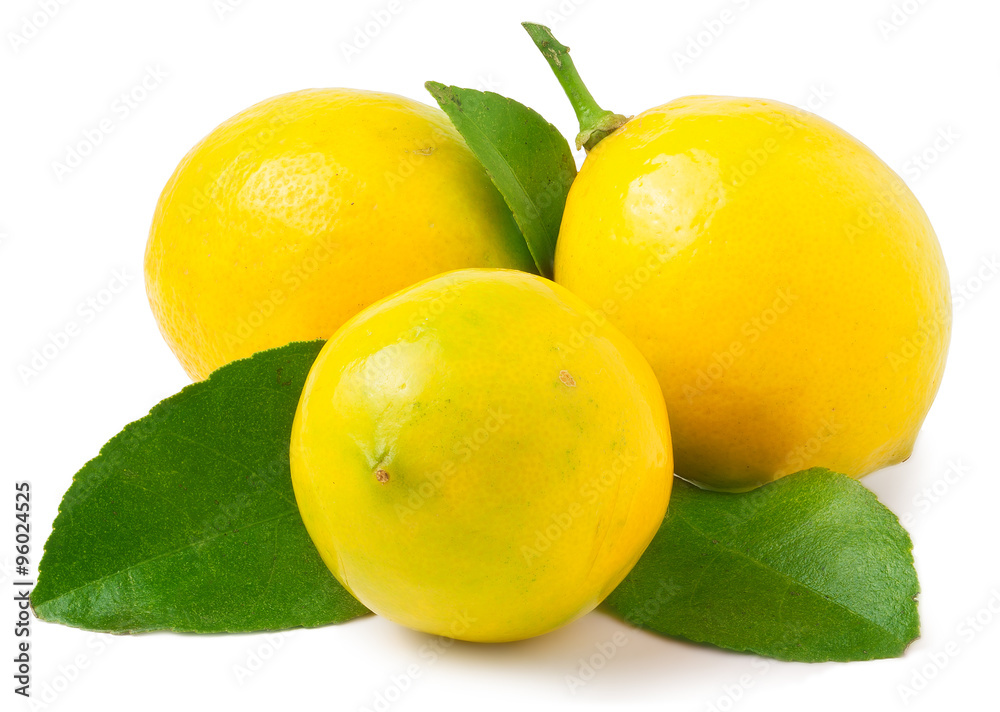 Three lemons on the white background isolated Three lemons on the white background isolated
