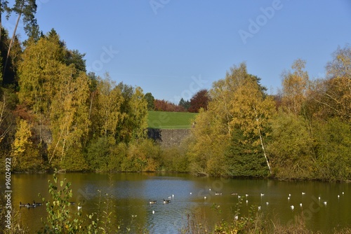 Myriade de canards dans l'étang de la Ferme en face du mur en pierres brunes et la grande pelouse au parc Solvay de la Hulpe