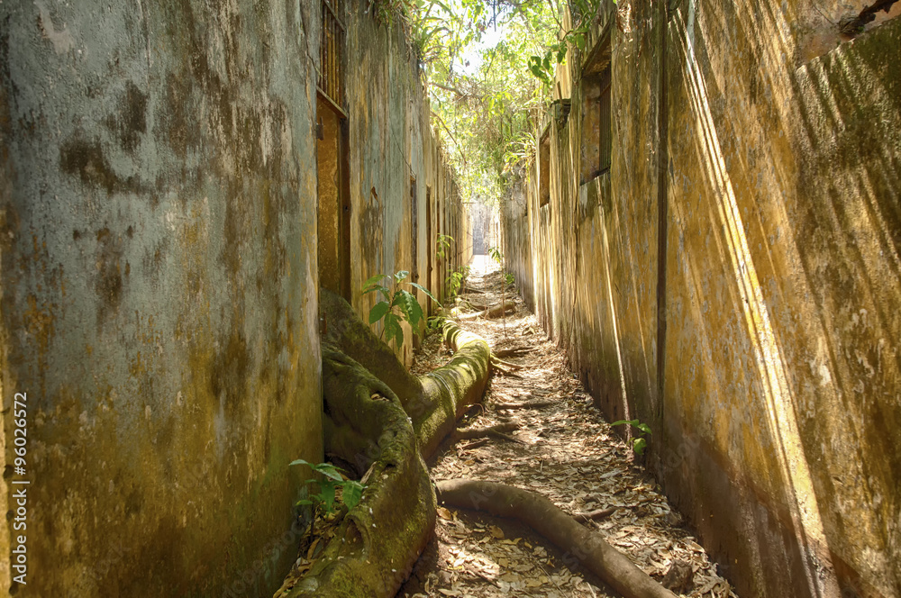 Le Bagne de l'île Saint Josephguyane Photos Adobe Stock
