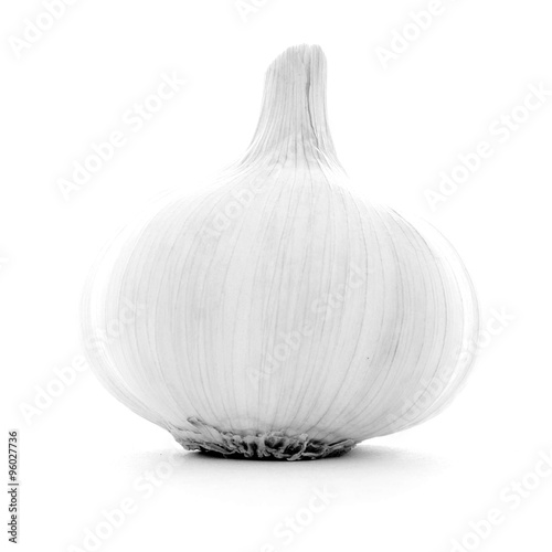 Clear clean single whole garlic bulb, healthy organic vegetable © 1R