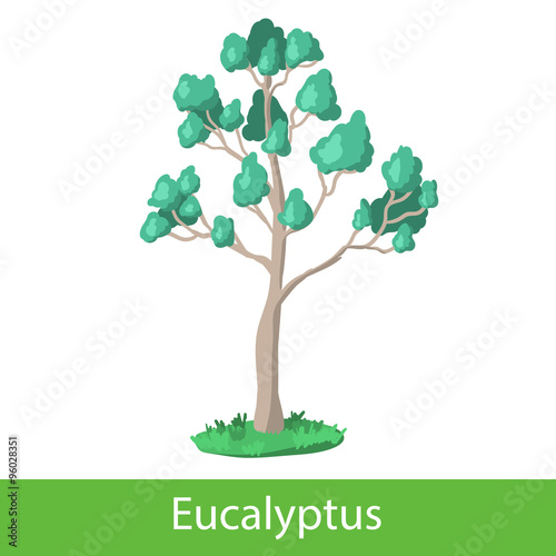 Eucalyptus cartoon tree