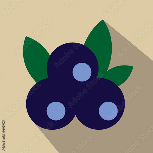 Blueberries flat icon