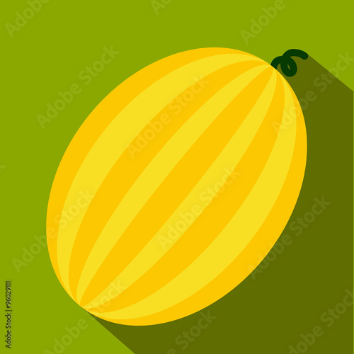 Melon flat icon