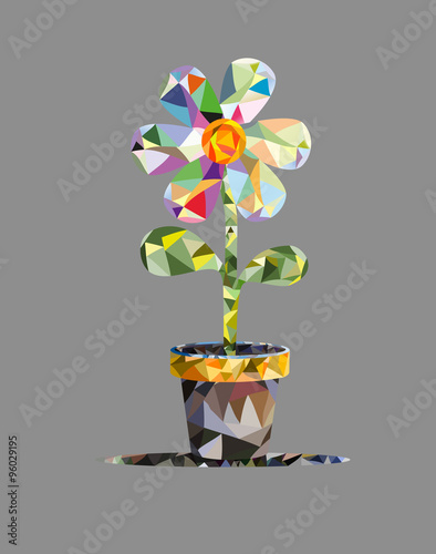 color flower