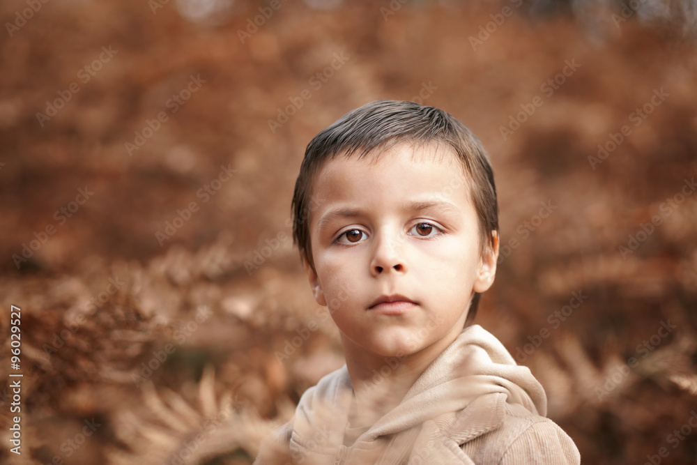 adorable boy portrait adorable boy portrait