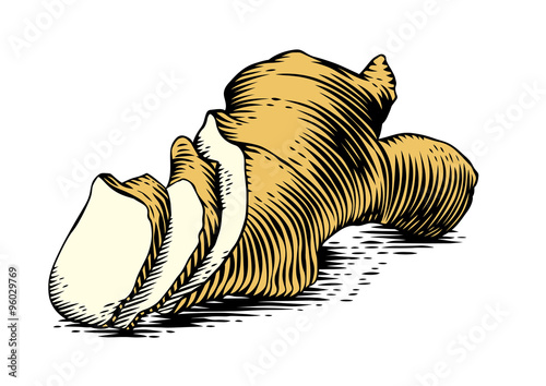 Isolated ginger root