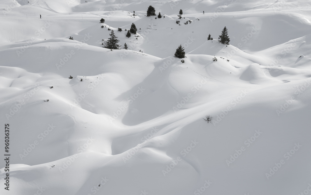 Virgin snow hills with small separate trees winter landscape