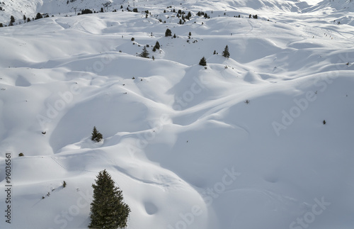 Several trees among snow hills in winter mountains