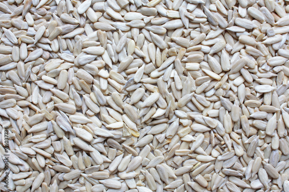 Sunflower seeds Sunflower seeds