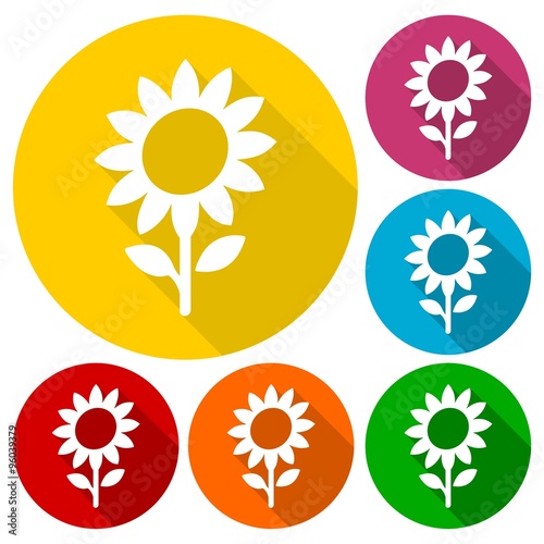 Fototapeta Naklejka Na Ścianę i Meble -  Sunflower symbol icons set with long shadow