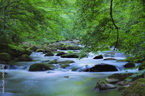 Bode Fluss - Bode river 01