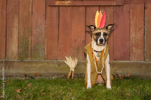 Fototapeta Naklejka Na Ścianę i Meble -  Thanksgiving Dog