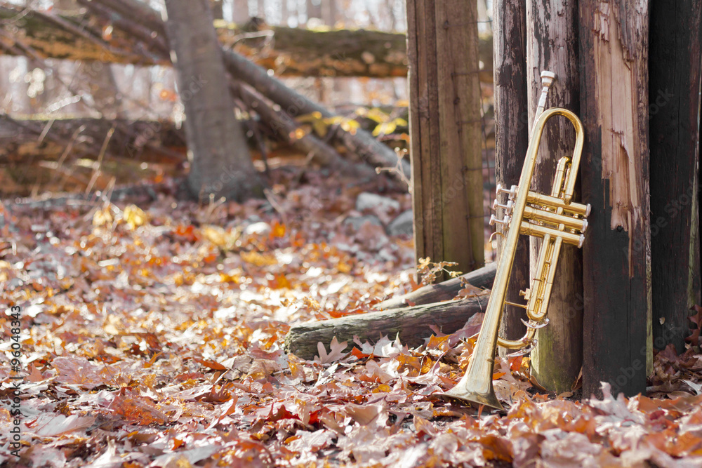 Fototapeta premium Trumpet Woods Fence