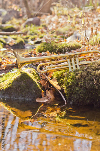 Fototapeta Naklejka Na Ścianę i Meble -  Trumpet Stream Wilderness