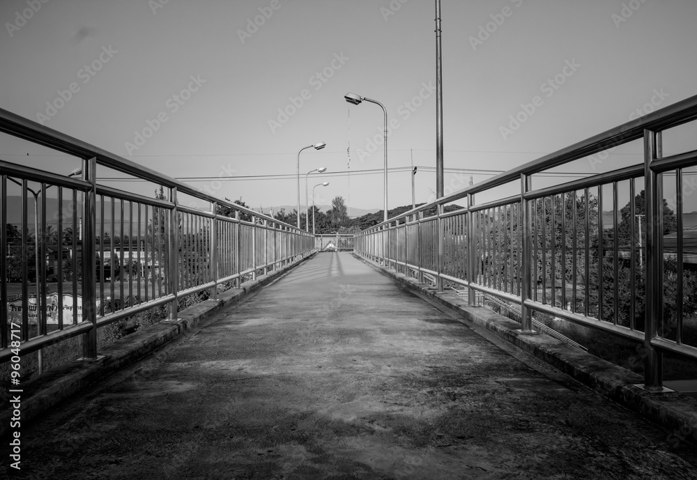 Pedestrian bridge made of stainless in country