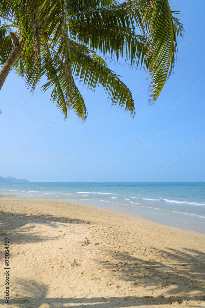 Fototapeta premium Tropical beach with coconut palm at summer time