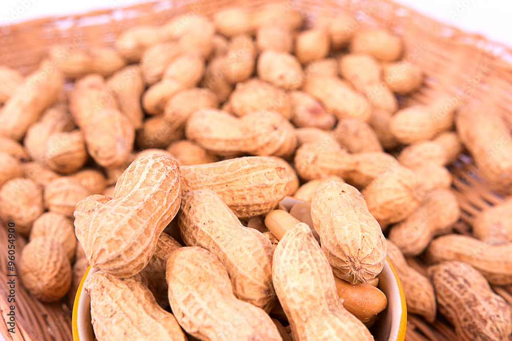 closeup of Groundnut closeup of Groundnut