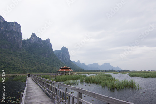 Wooden Bridge in lotus lake at khao sam roi yod national park, thailand 