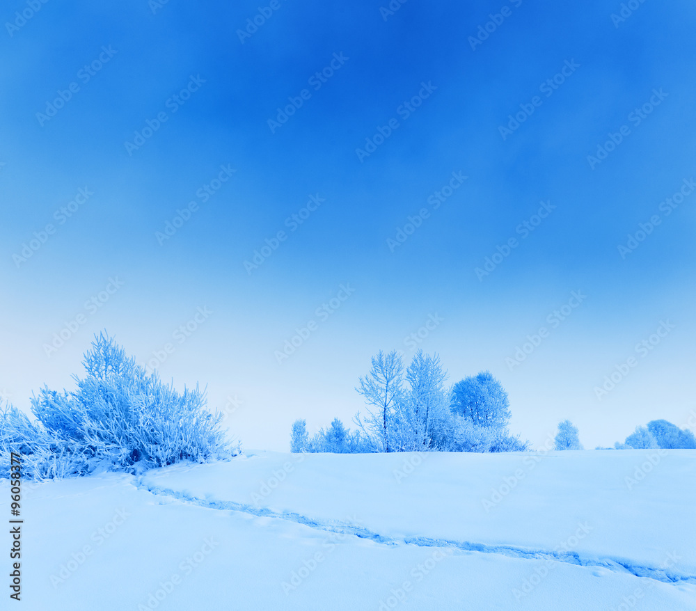 Winter landscape. Cold winter evening