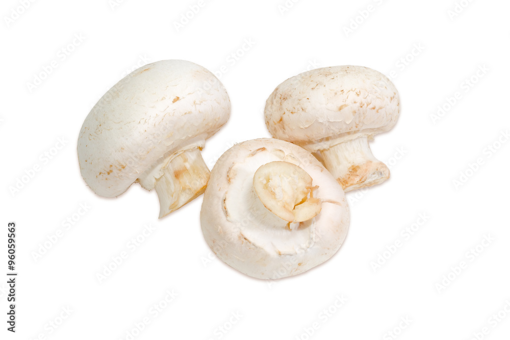 Fototapeta premium Three champignon mushroom on a light background