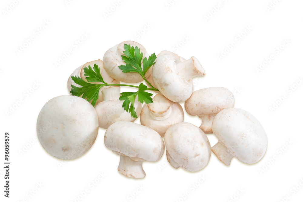 Pile of champignon mushroom on a light background