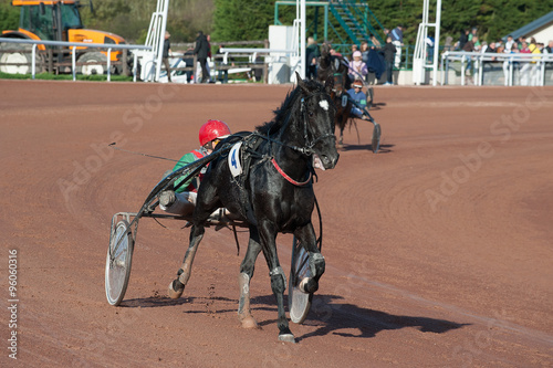 Bilde på lerret sulky