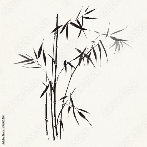 Bamboo branches outlined in black © Ron Dale