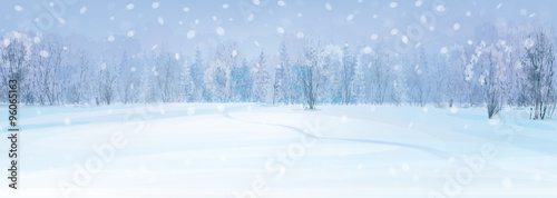 Vector winter landscape with forest background.