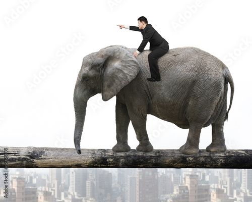 Man with pointing finger riding elephant walking on tree trunk