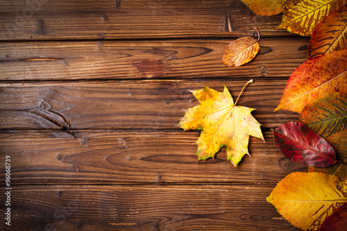 Collection of autumn leaves on wooden background
