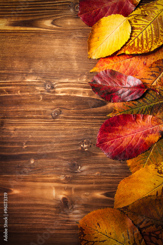 Collection of autumn leaves on wooden background