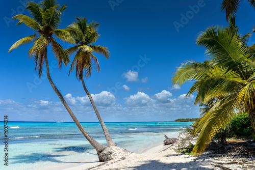 Tropical Beach with Palm Trees and White Sand.