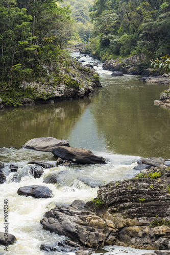 River stream on a green rain forest