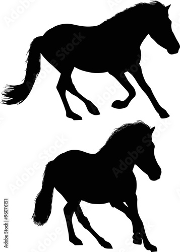 two running black horses isolated on white