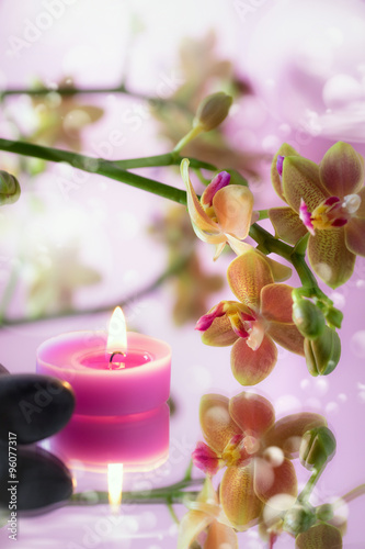 orchidea con candelina rosa