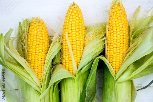 Yellow Corn Cobs Closeup on White Background, Top View, Macro