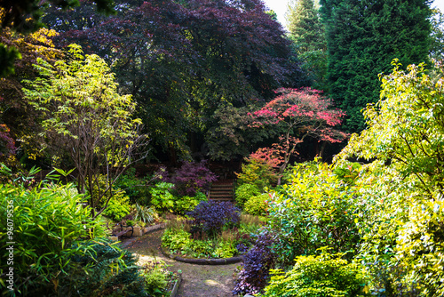 Colorful Beautiful English Garden during Fall Season, England, U photo