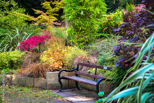 Colorful Beautiful English Garden during Fall Season photo