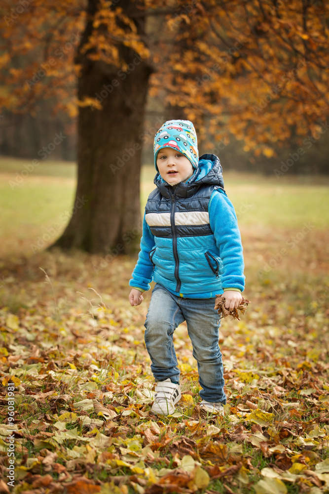 Portrait little boy in autumn park Portrait little boy in autumn park