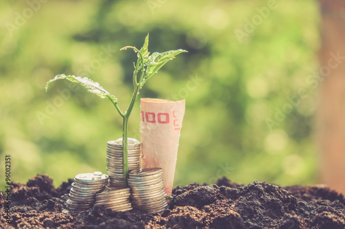 Wallpaper Mural plant growing out of coins with filter effect retro vintage style Torontodigital.ca