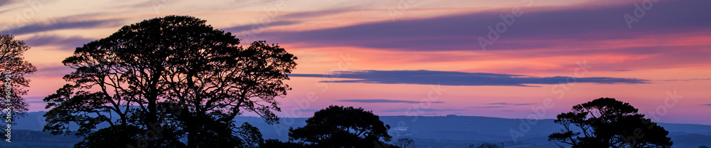 Beautiful sunset and tree silhouette panorama.