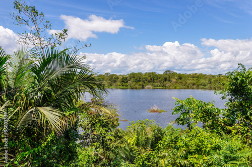 View of the lake in the Amazon Rainforest, Manaos, Brazil