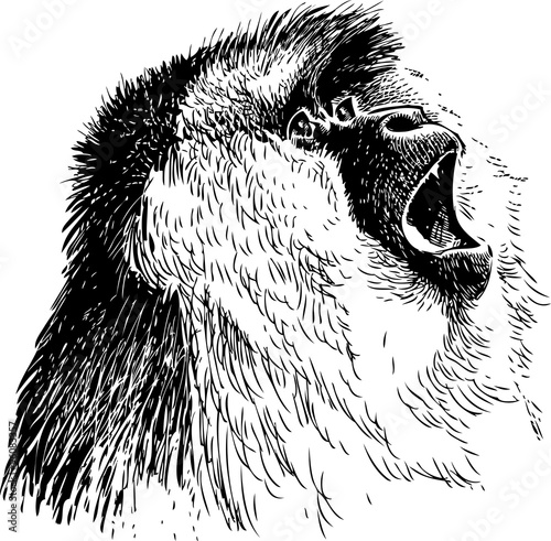 roaring monkey