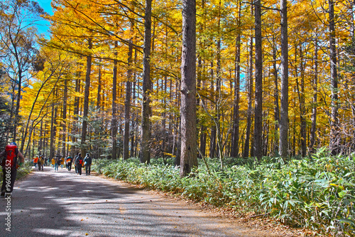 秋の上高地,梓川沿いの遊歩道を歩くハイカー 