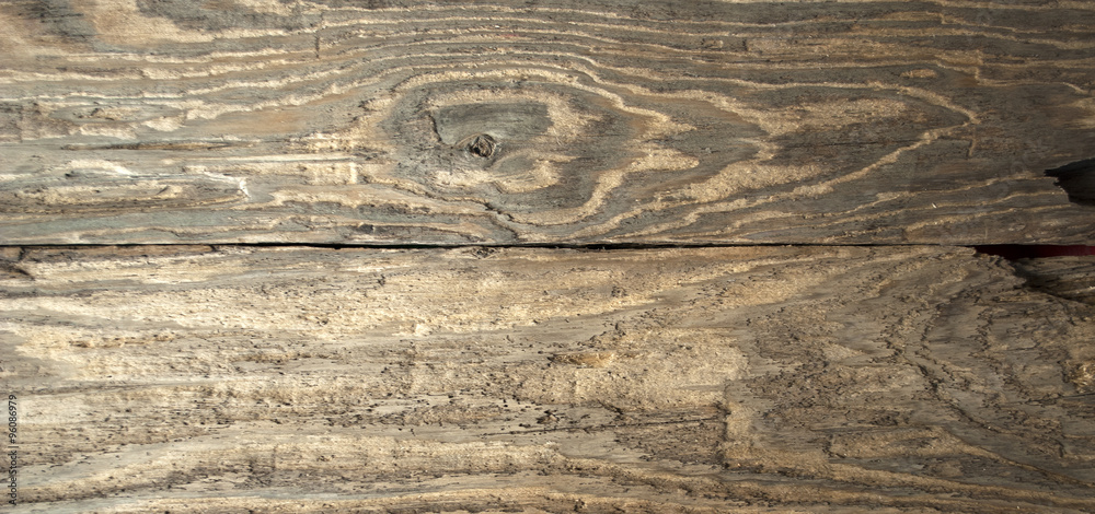 Fototapeta premium Altes Treibholz / Holzbrett aus Eiszeitsee, Schleswig-Holstein, Nahaufnahme, Hintergrund, Textur