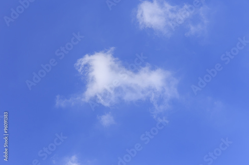 Horse cloud.