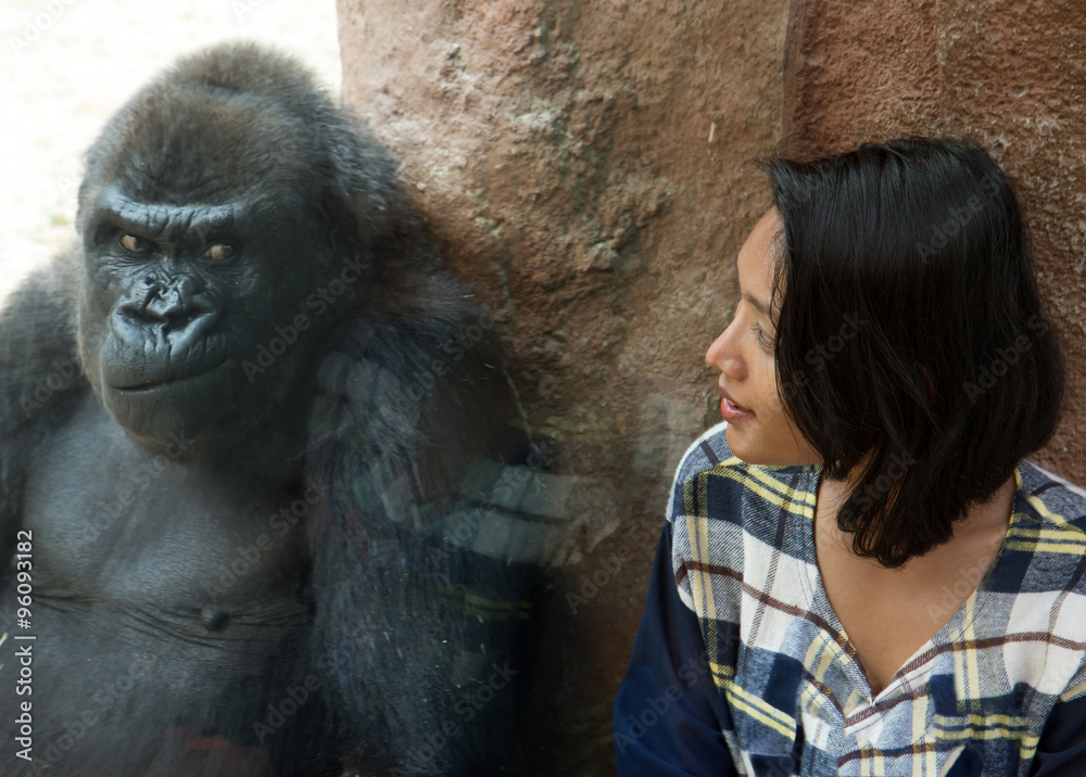 Zoo visitor at the gorilla enclosure Zoo visitor at the gorilla enclosure
